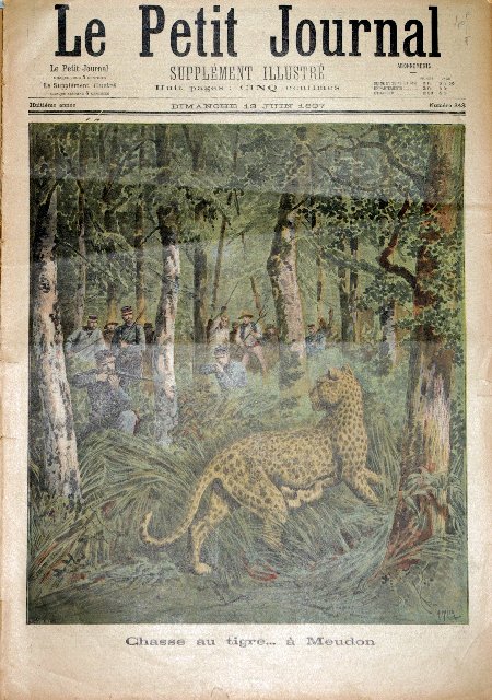 journal Le petit journal illustré Chasse au tigre... à Meudon.