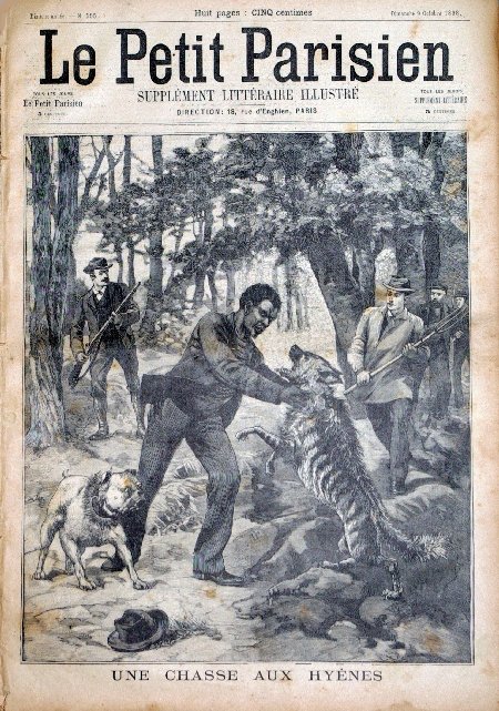 journal Le petit Parisien illustré Une chasse aux hyènes.