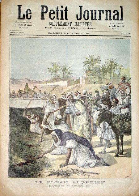 journal Le petit journal illustré Le fléau Algérien. (Invasion de sauterelles).