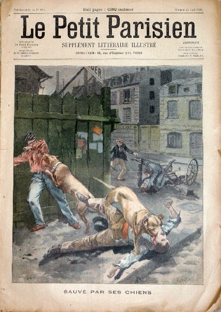journal Le petit Parisien illustré Sauvé par ses chiens.