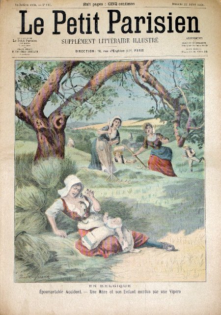 journal Le petit Parisien illustré En Belgique, Epouvantable accident. Une mère et son enfant mordus par une vipère.