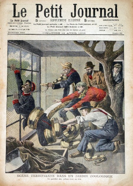 journal Le petit journal illustré Scène terrifiante dans un jardin zoologique. Un gardien aux prises avec un boa.